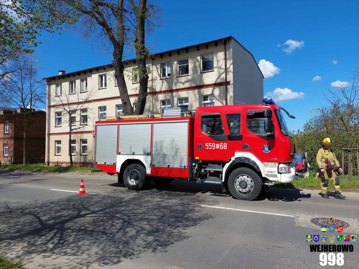 Zdjęcie
