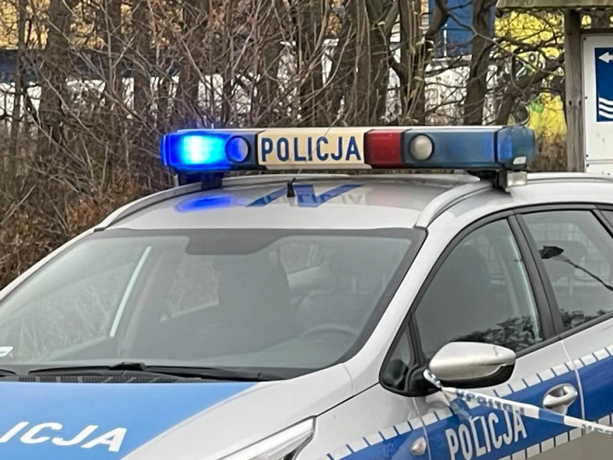 Zdjęcie