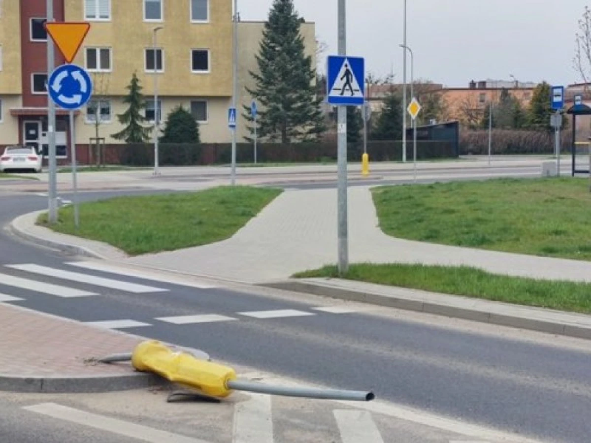Zdjęcie