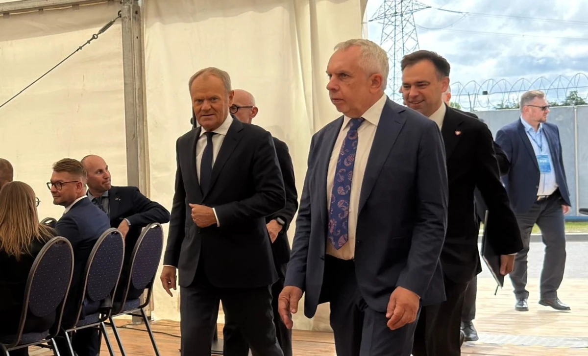 Zdjęcie