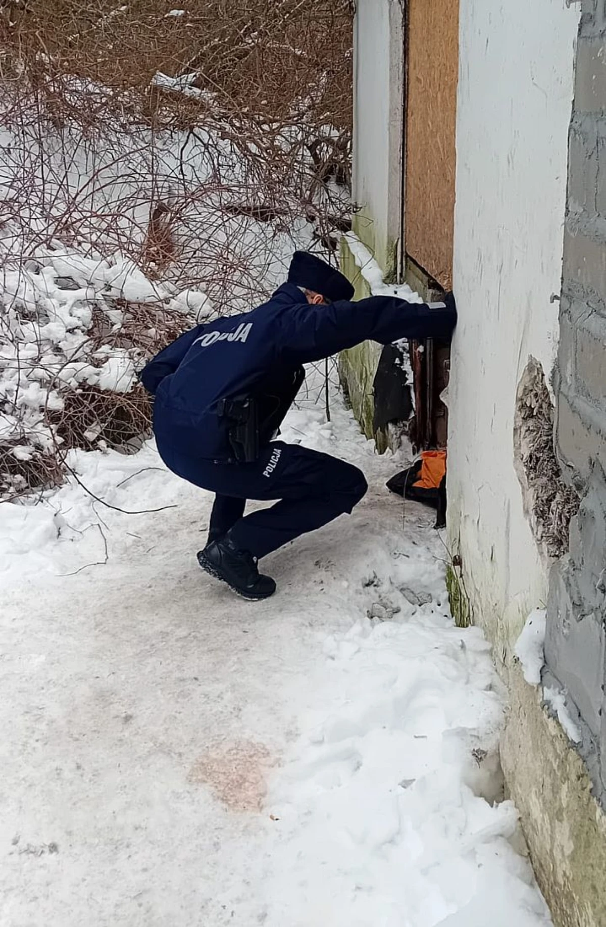 Zdjęcie