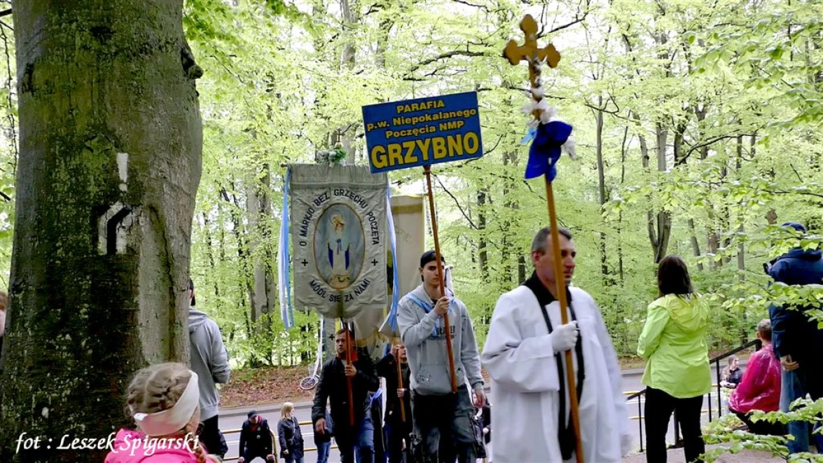 Zdjęcie
