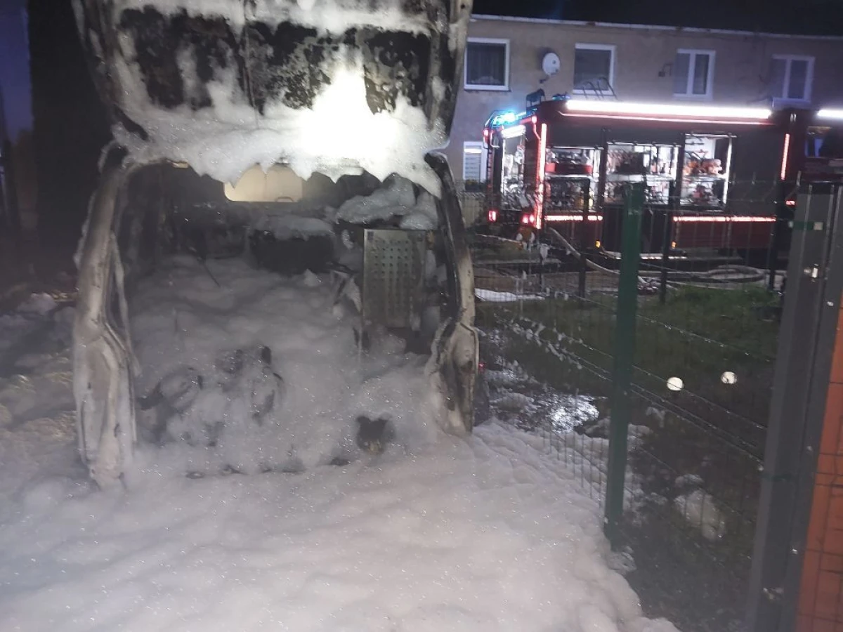 Zdjęcie