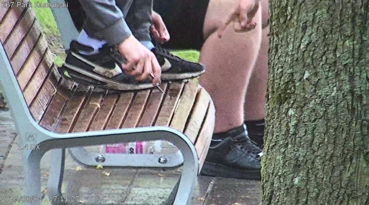 Zdjęcie
