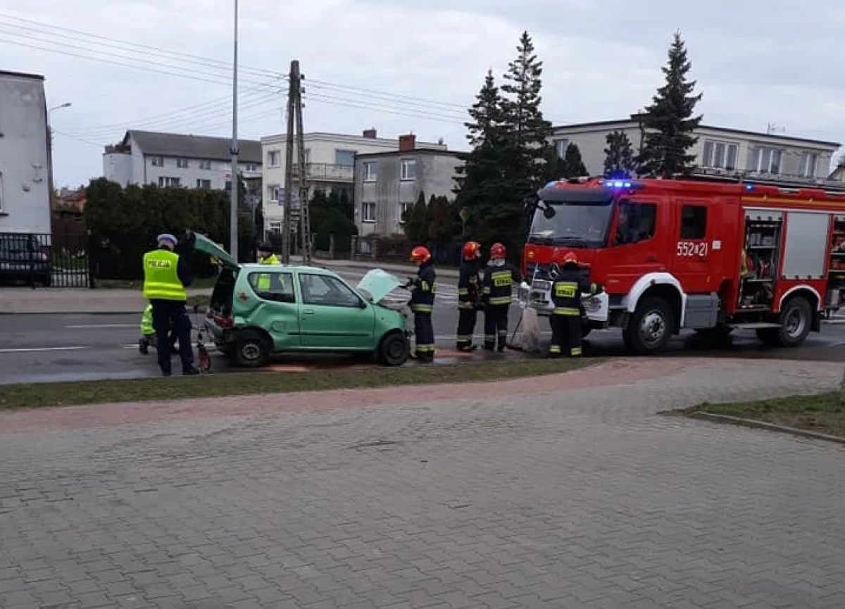 Zdjęcie