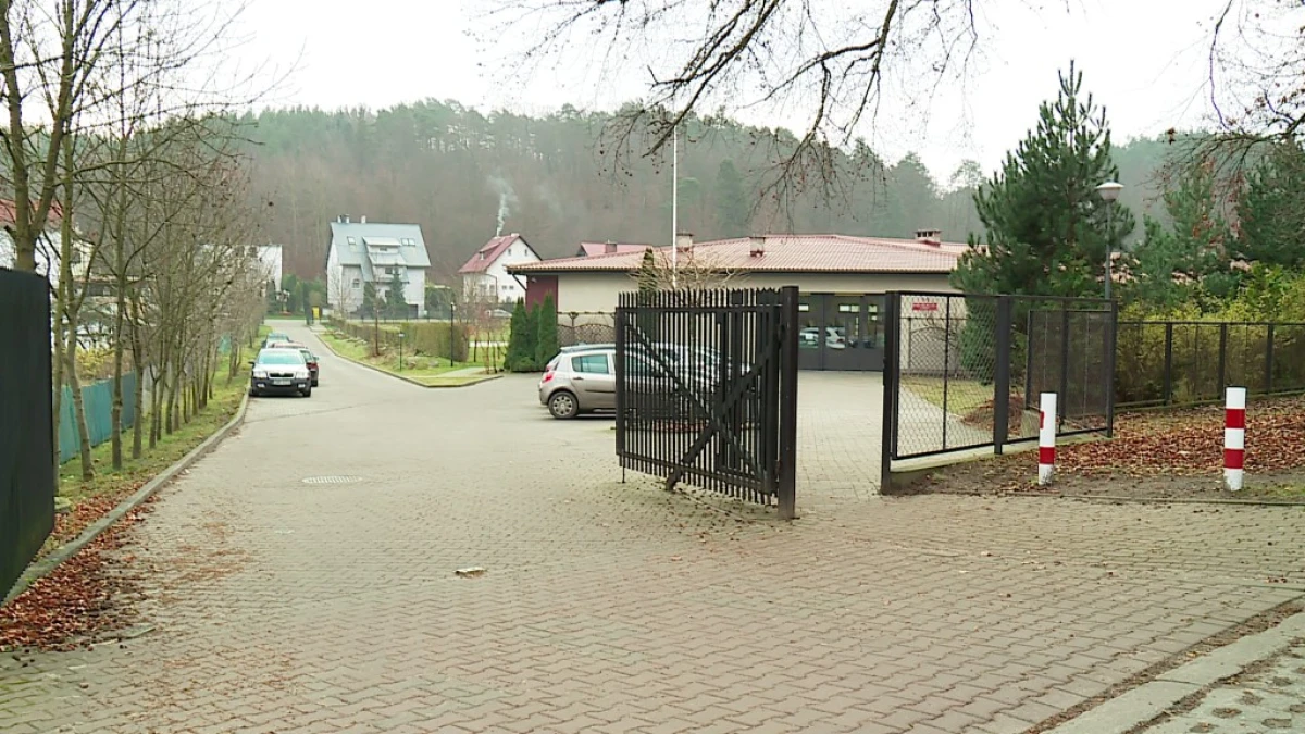 Zdjęcie