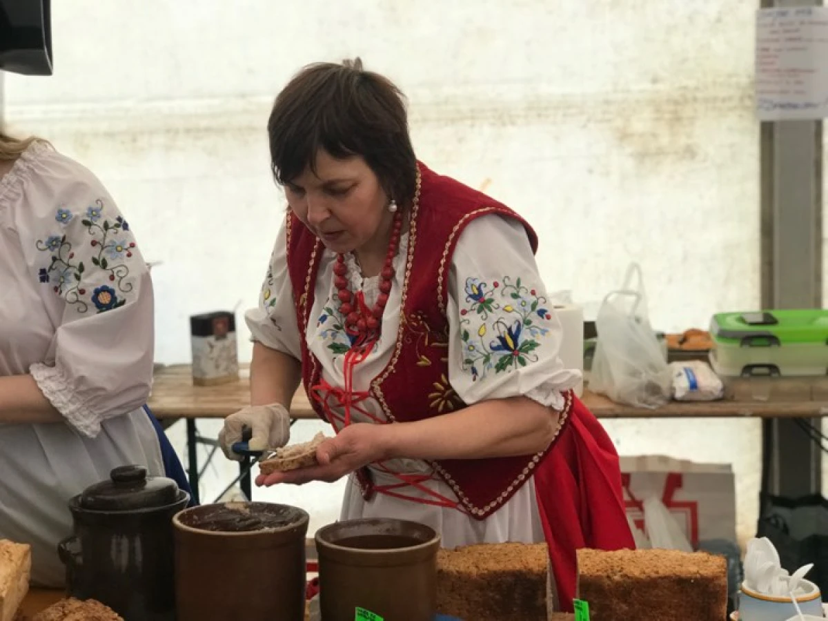 Zdjęcie