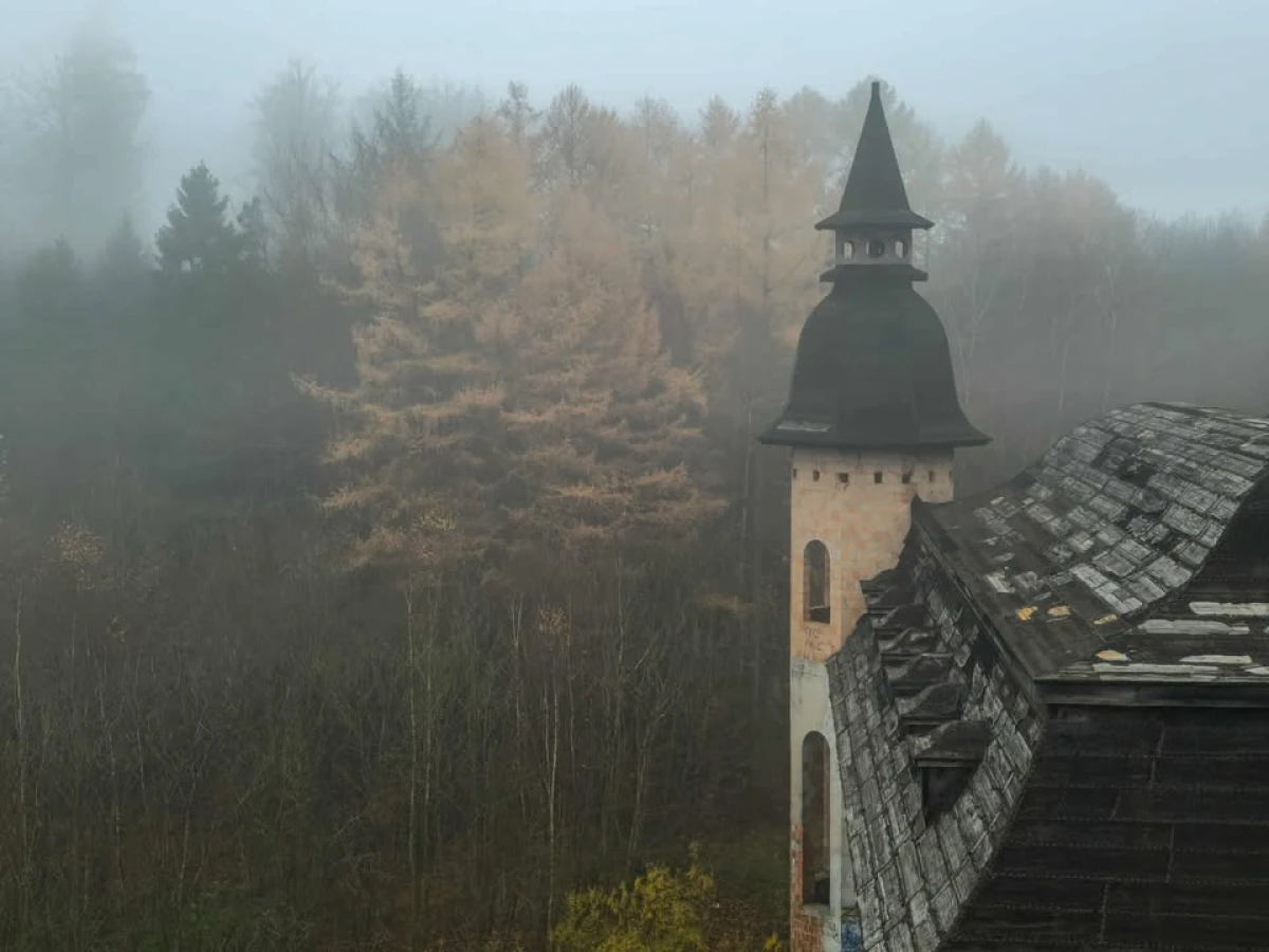 Zdjęcie