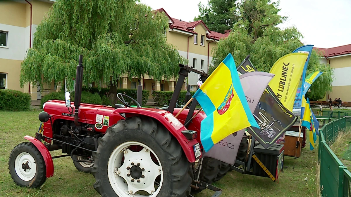 Zdjęcie