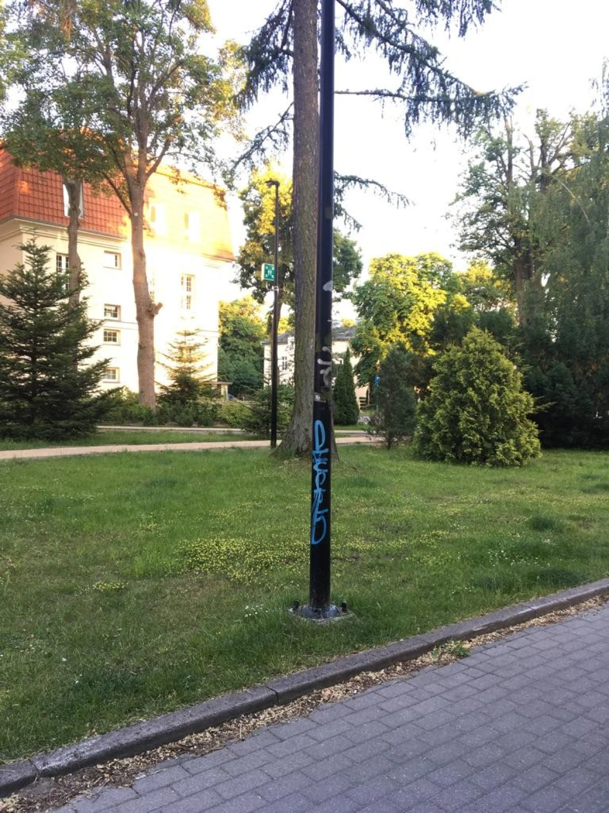 Zdjęcie