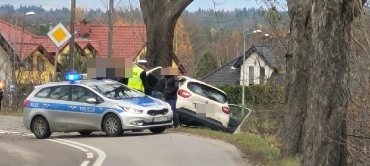 Zdjęcie