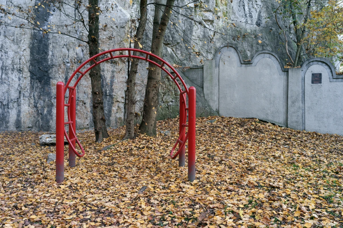 Zdjęcie