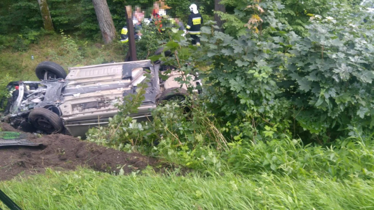 Zdjęcie