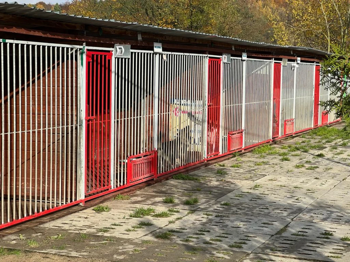 Zdjęcie