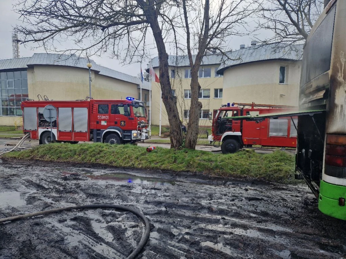Zdjęcie
