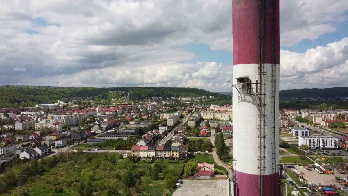 Zdjęcie