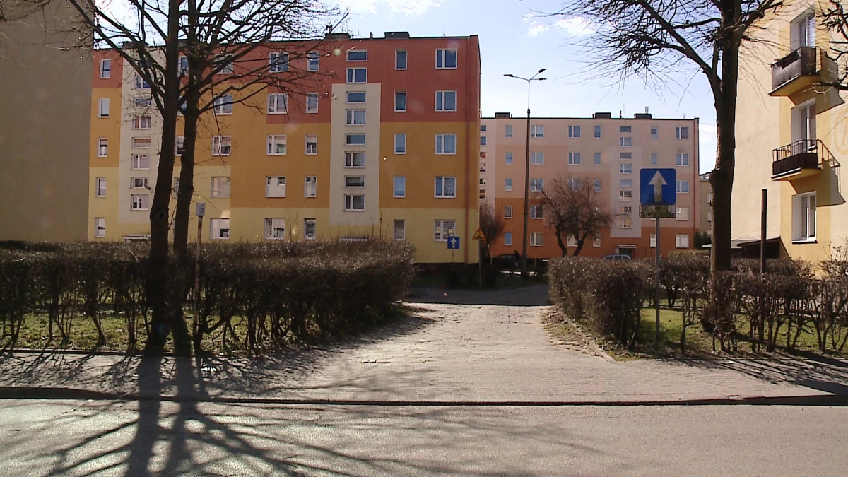 Zdjęcie