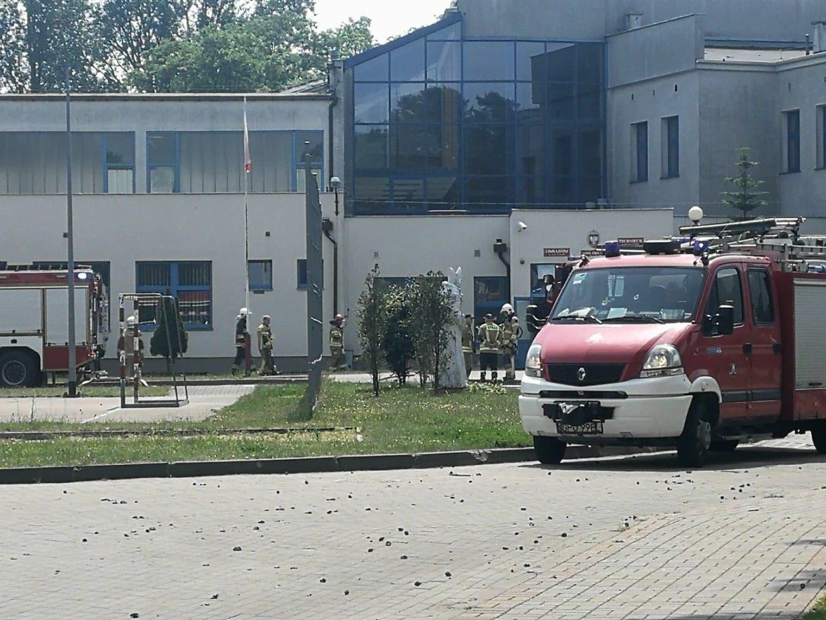 Zdjęcie