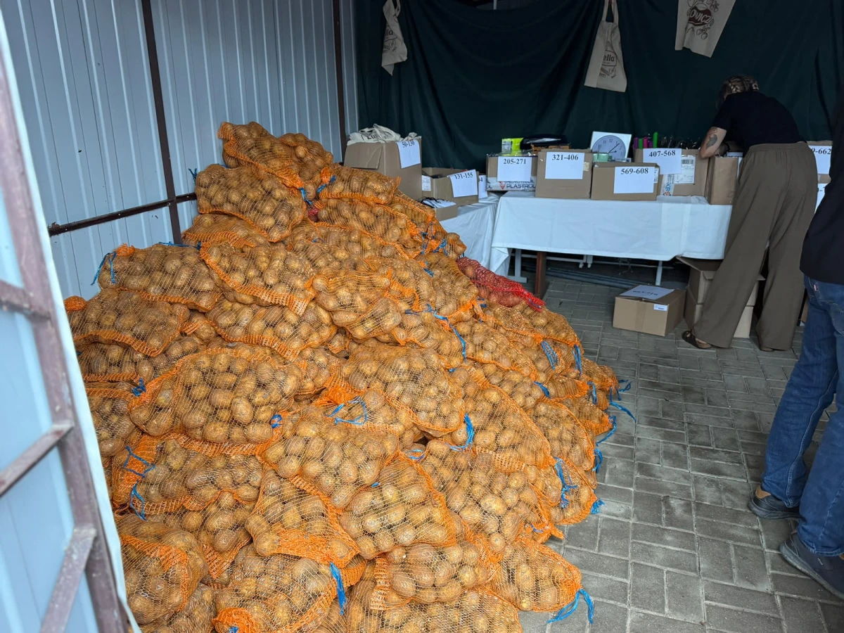 Zdjęcie