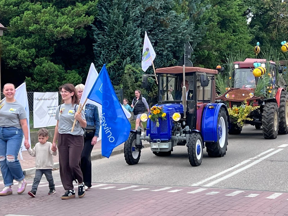 Zdjęcie