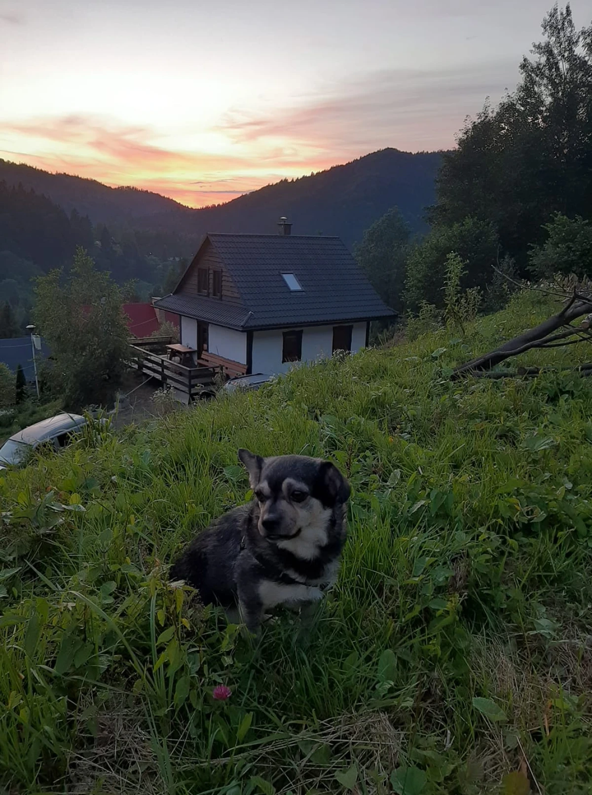 Zdjęcie