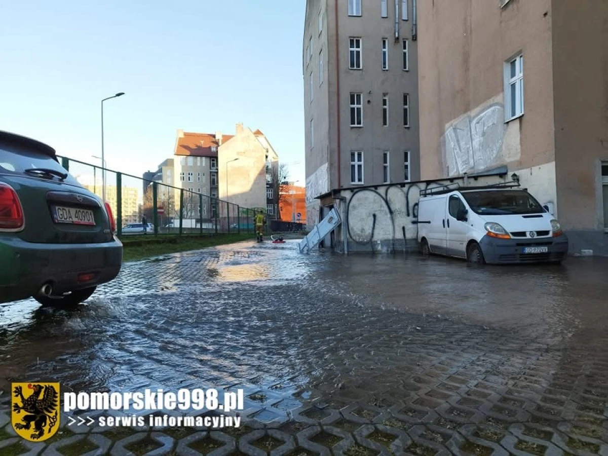 Zdjęcie