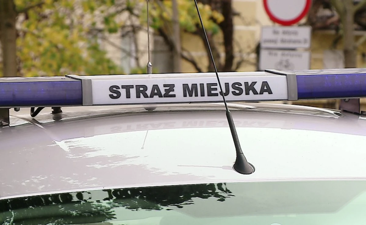 Zdjęcie