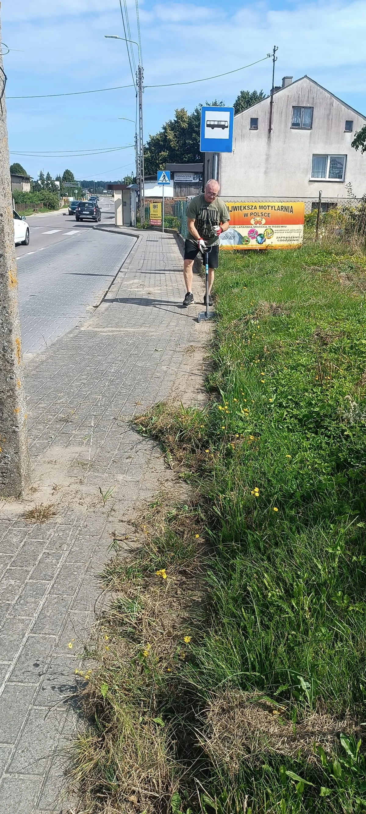Zdjęcie