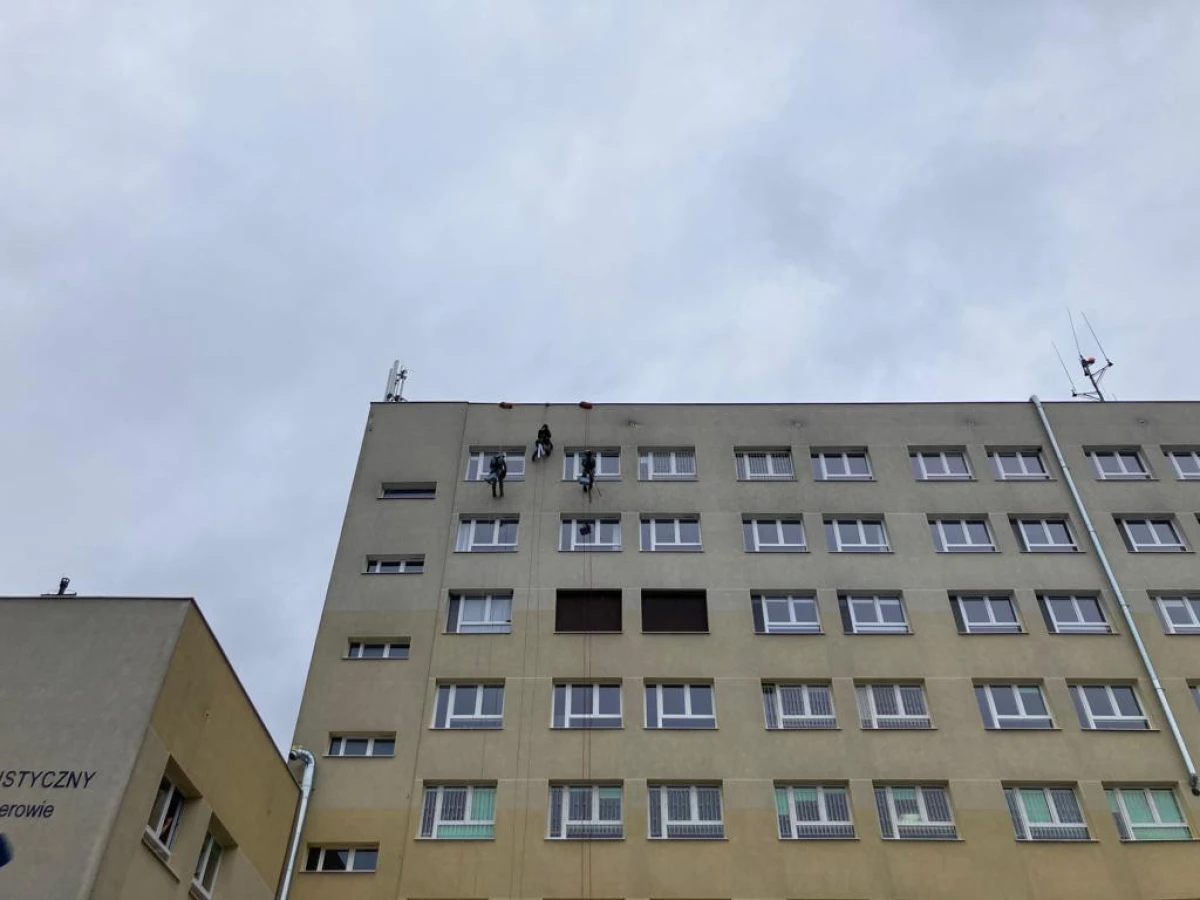 Zdjęcie