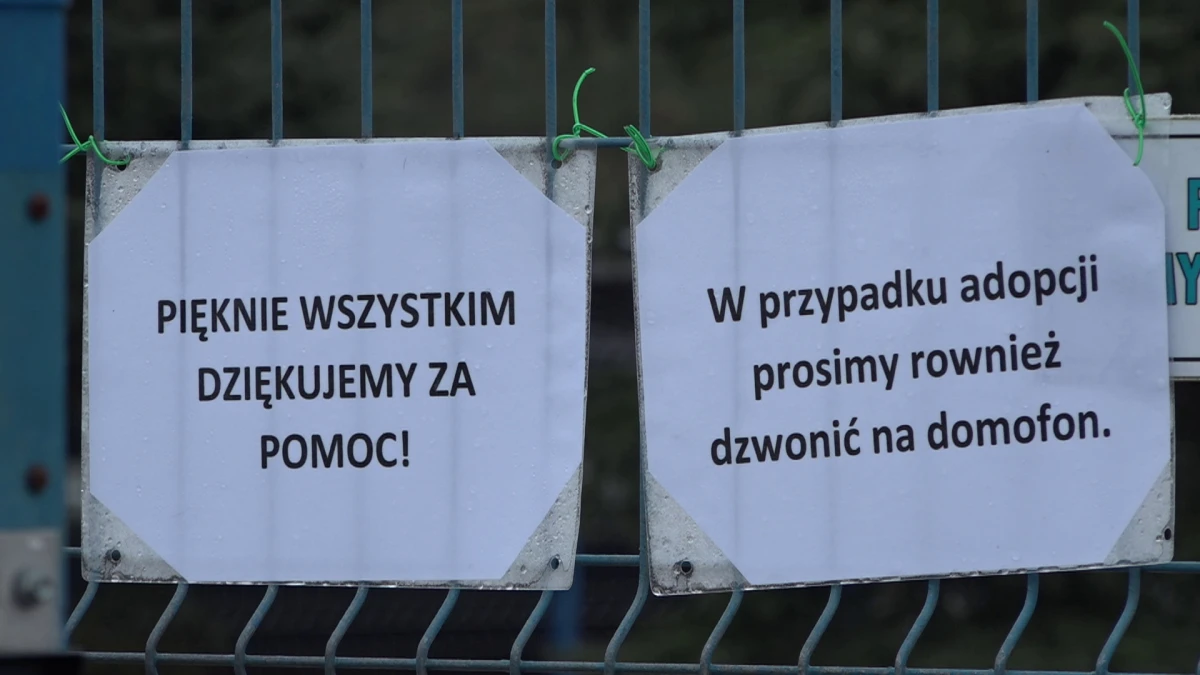 Zdjęcie