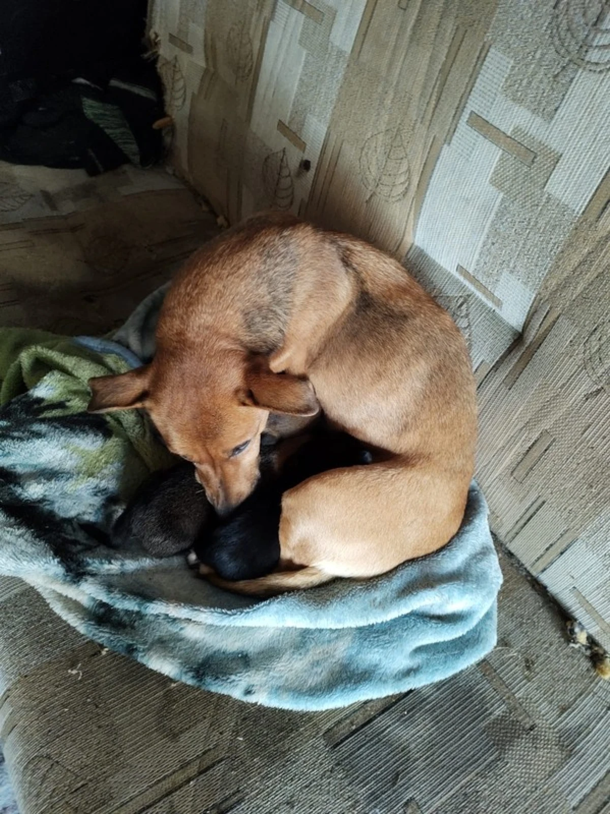 Zdjęcie