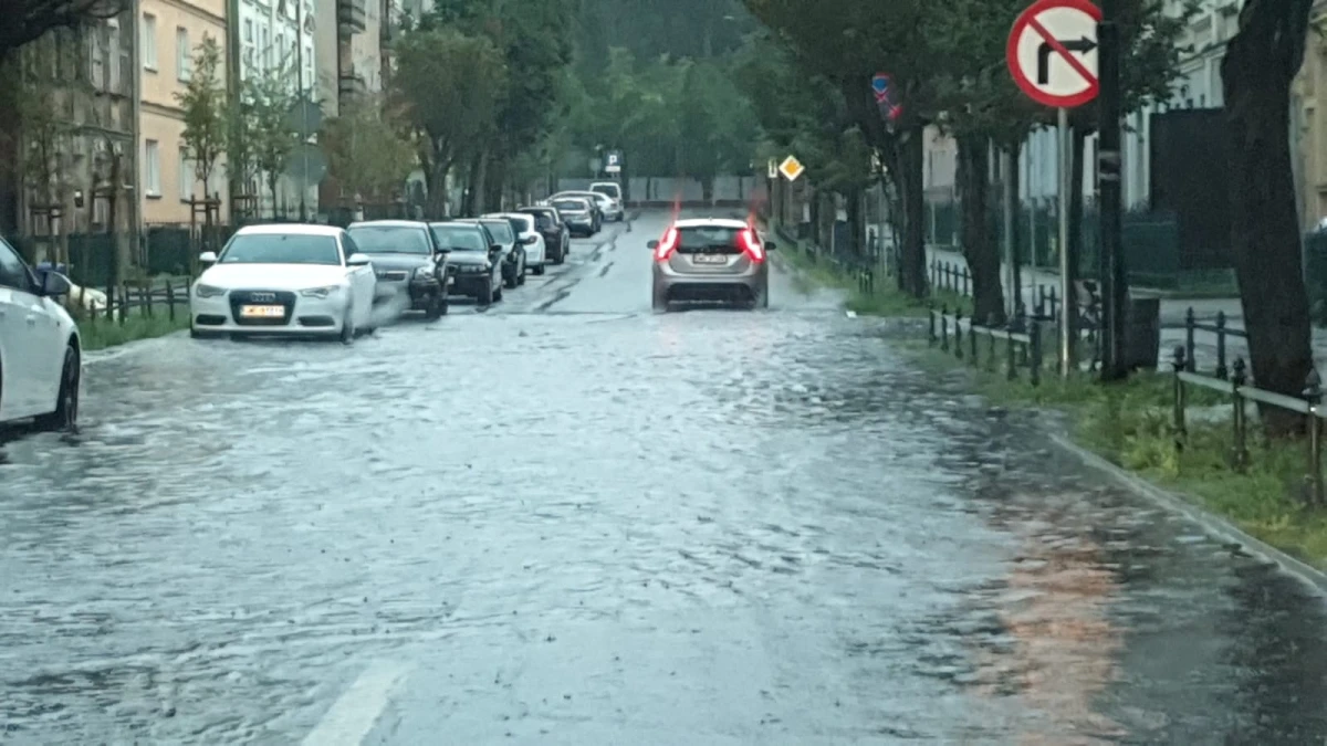 Zdjęcie