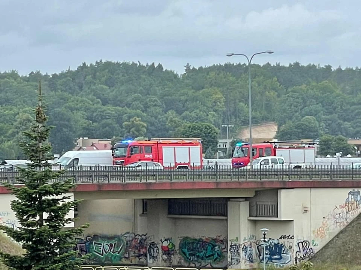 Zdjęcie