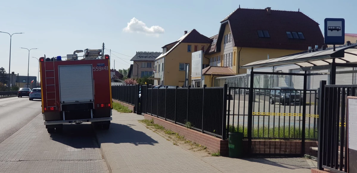 Zdjęcie