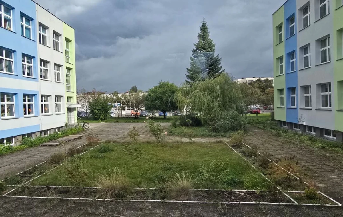 Zdjęcie