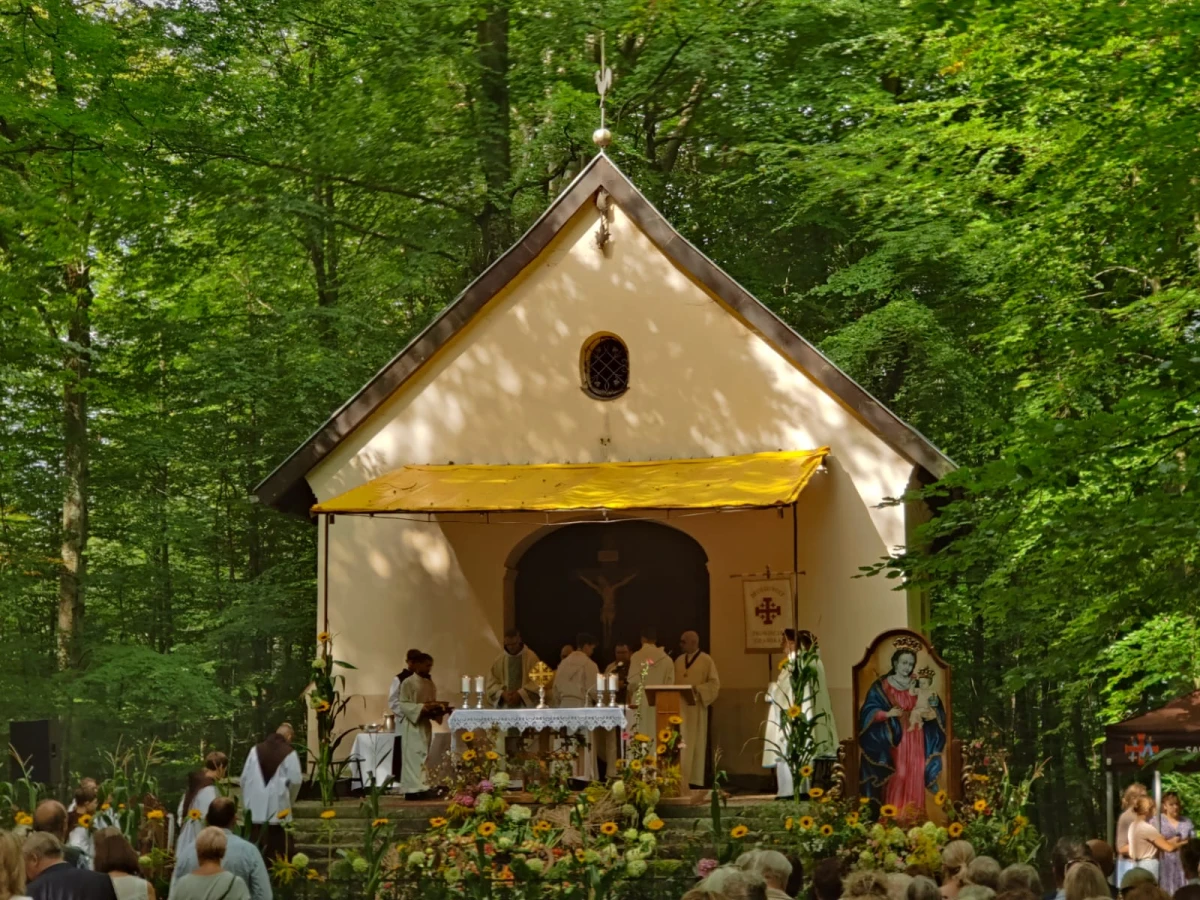 Zdjęcie
