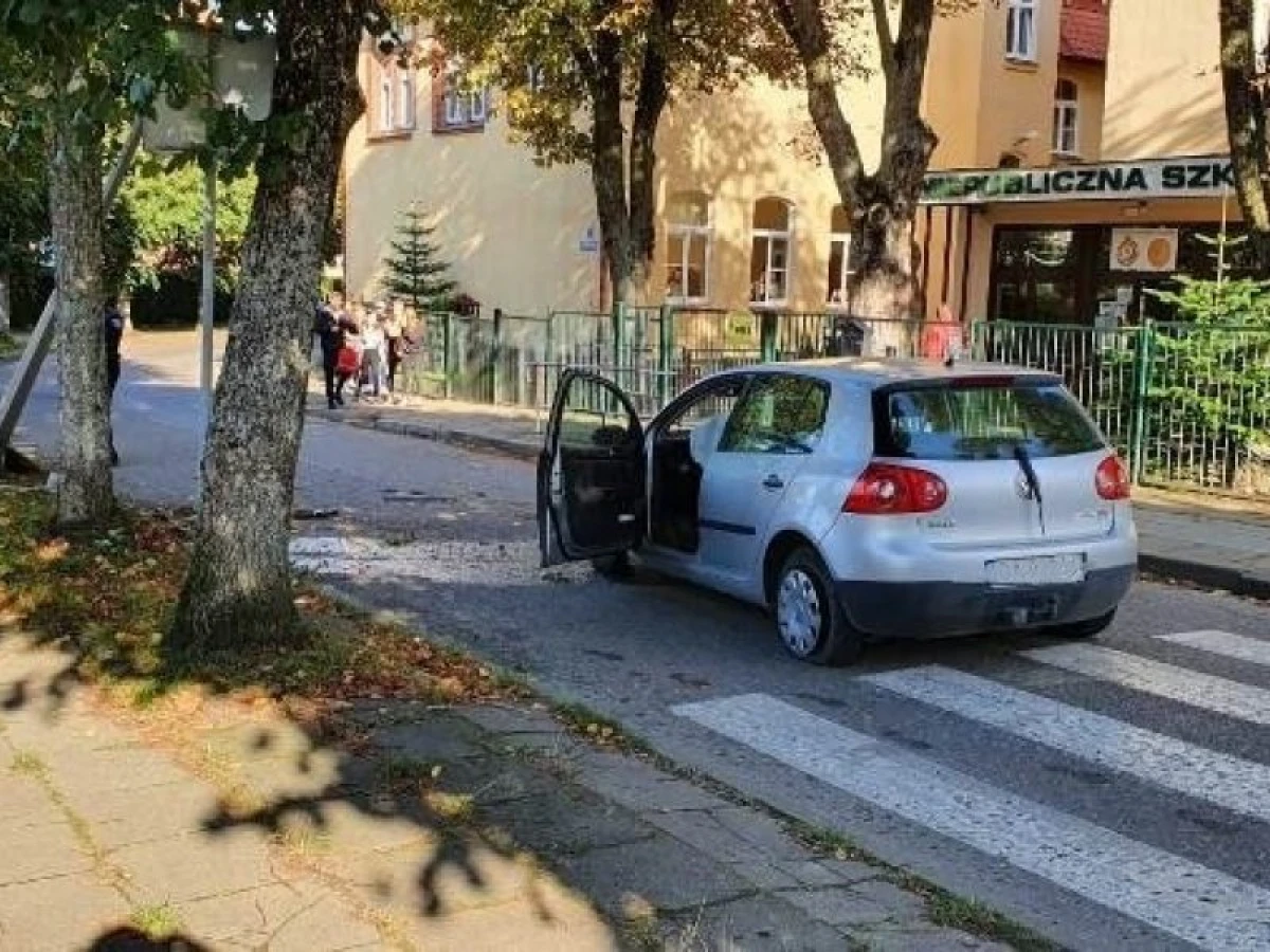 Zdjęcie