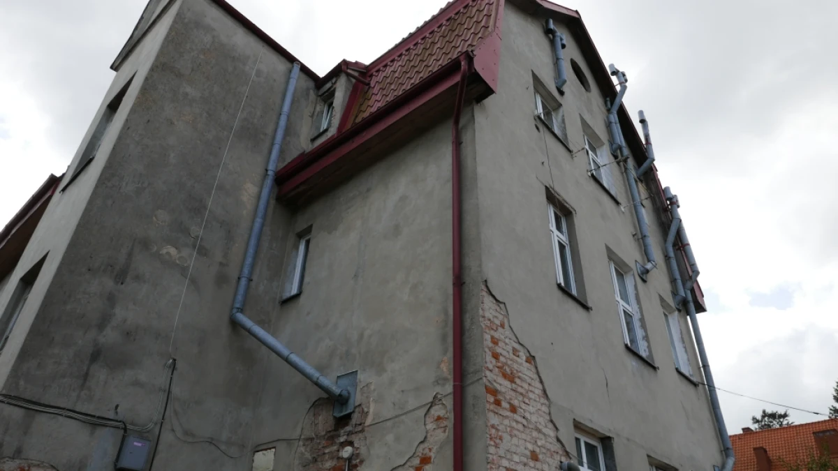 Zdjęcie