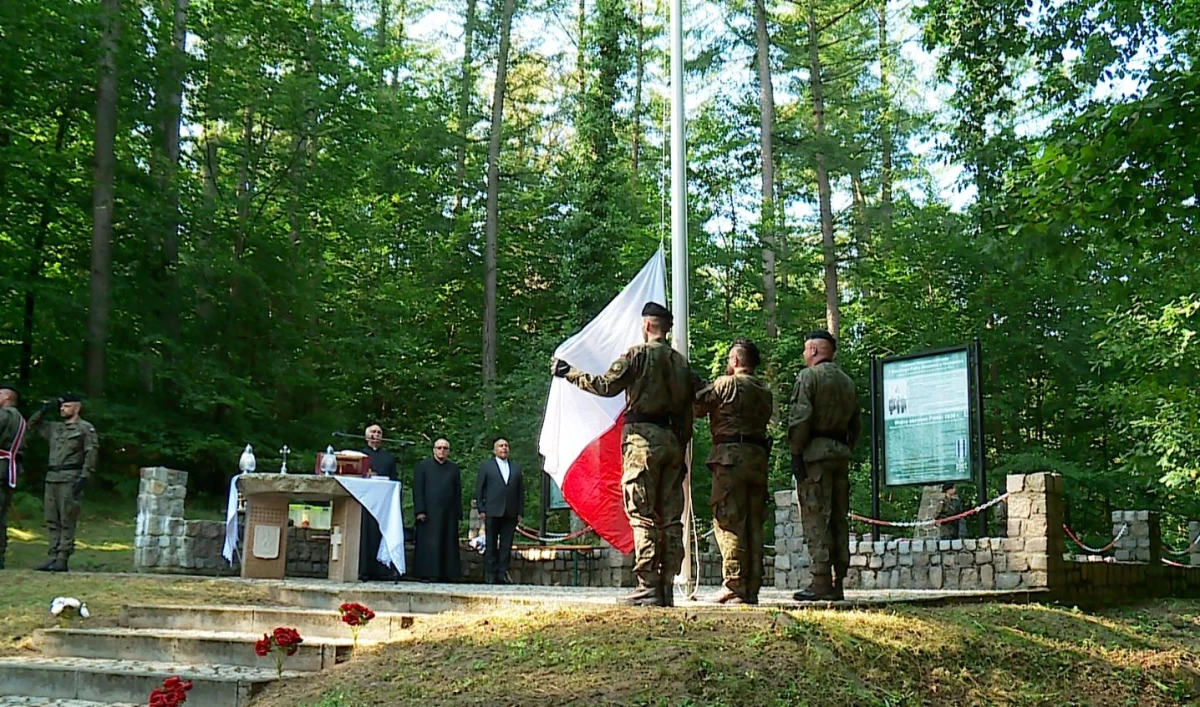 Zdjęcie