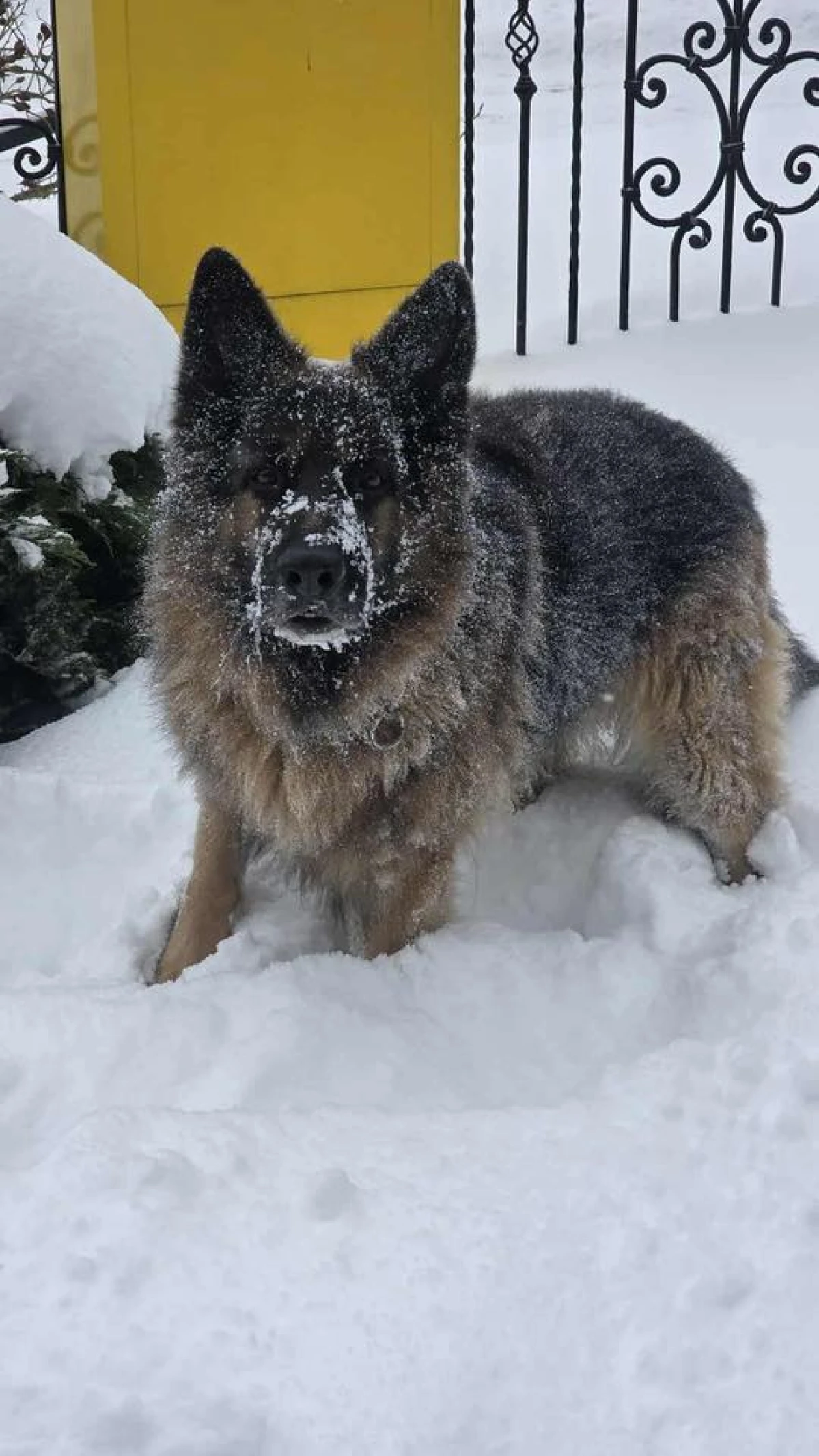 Zdjęcie