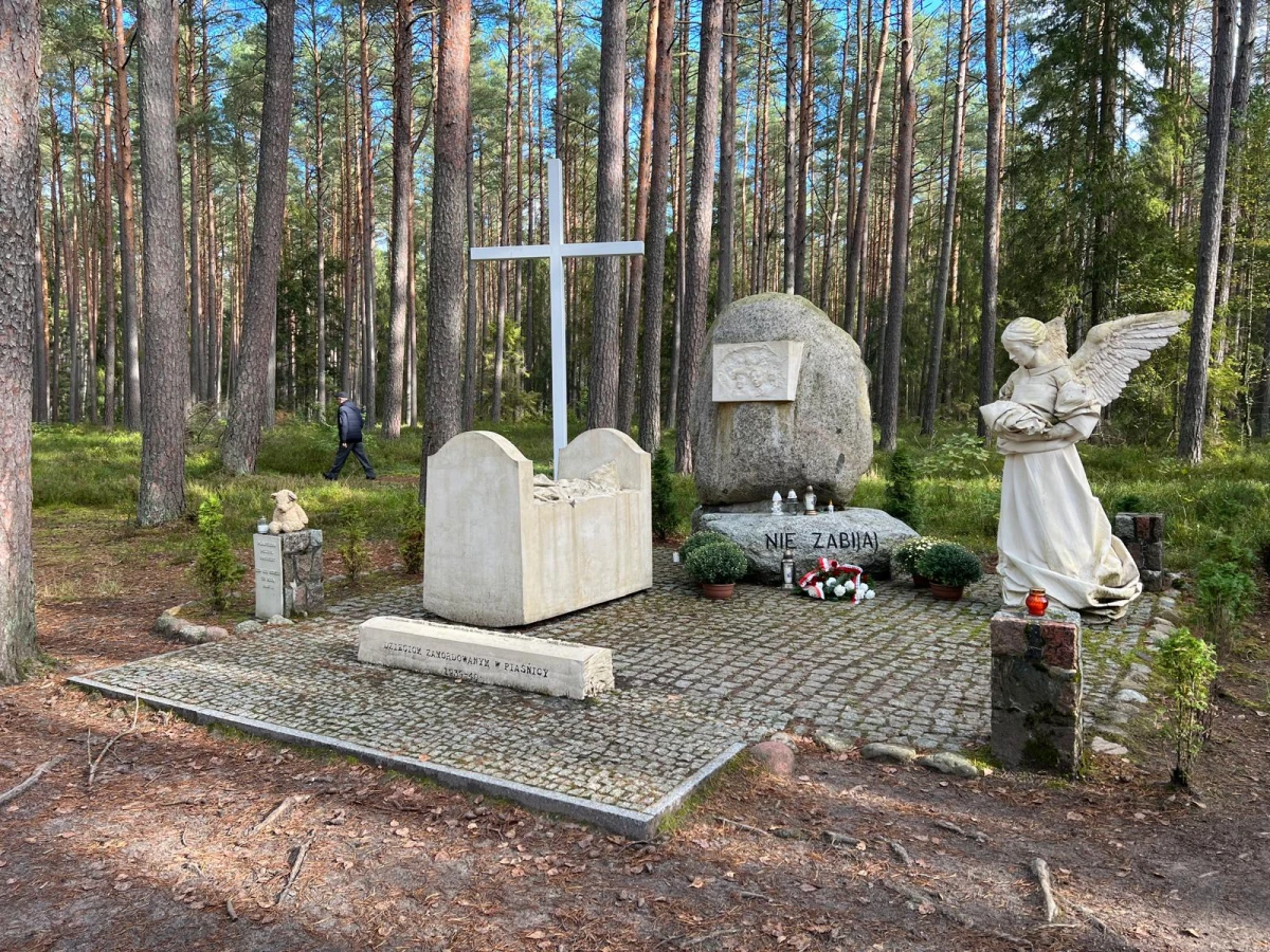 Zdjęcie