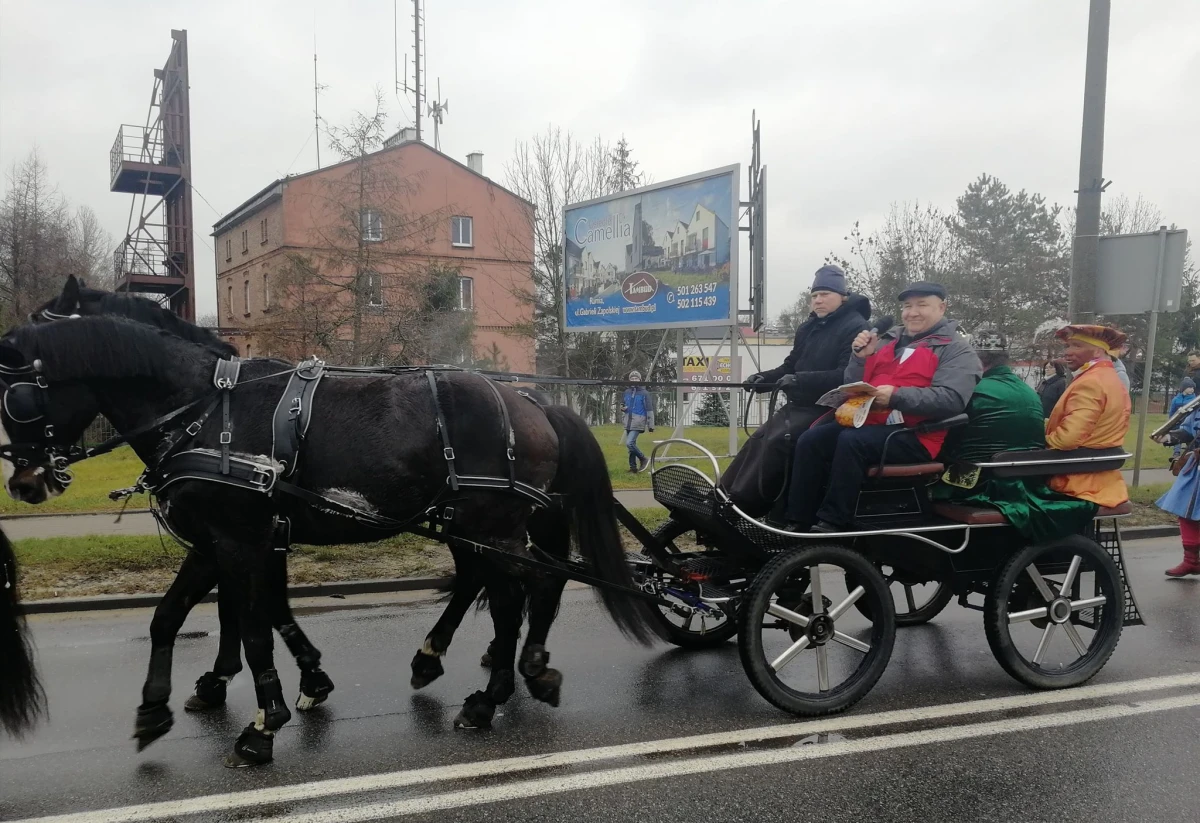 Zdjęcie