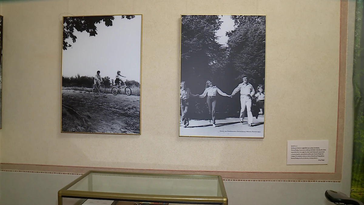 Zdjęcie