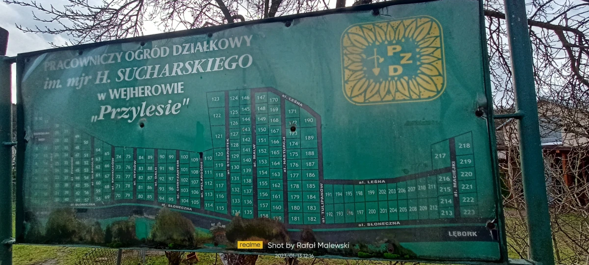Zdjęcie