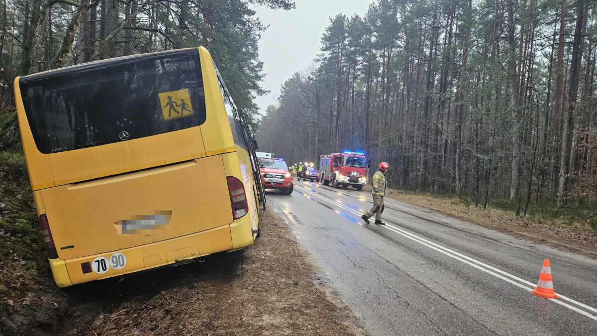 Zdjęcie