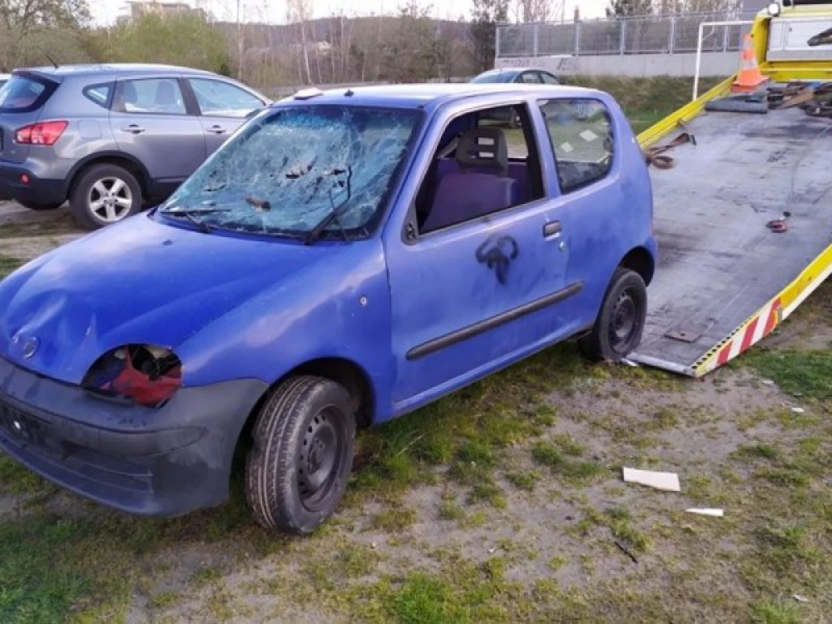 Zdjęcie