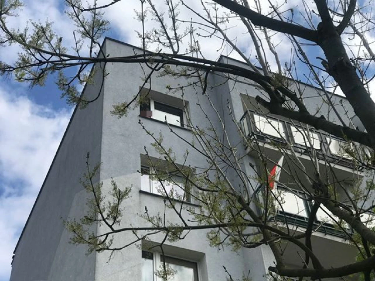 Zdjęcie