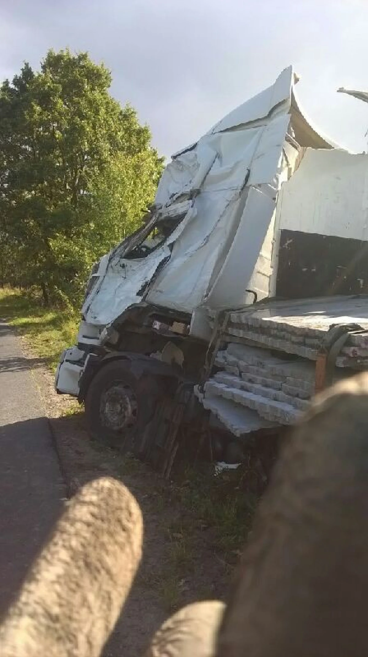 Zdjęcie