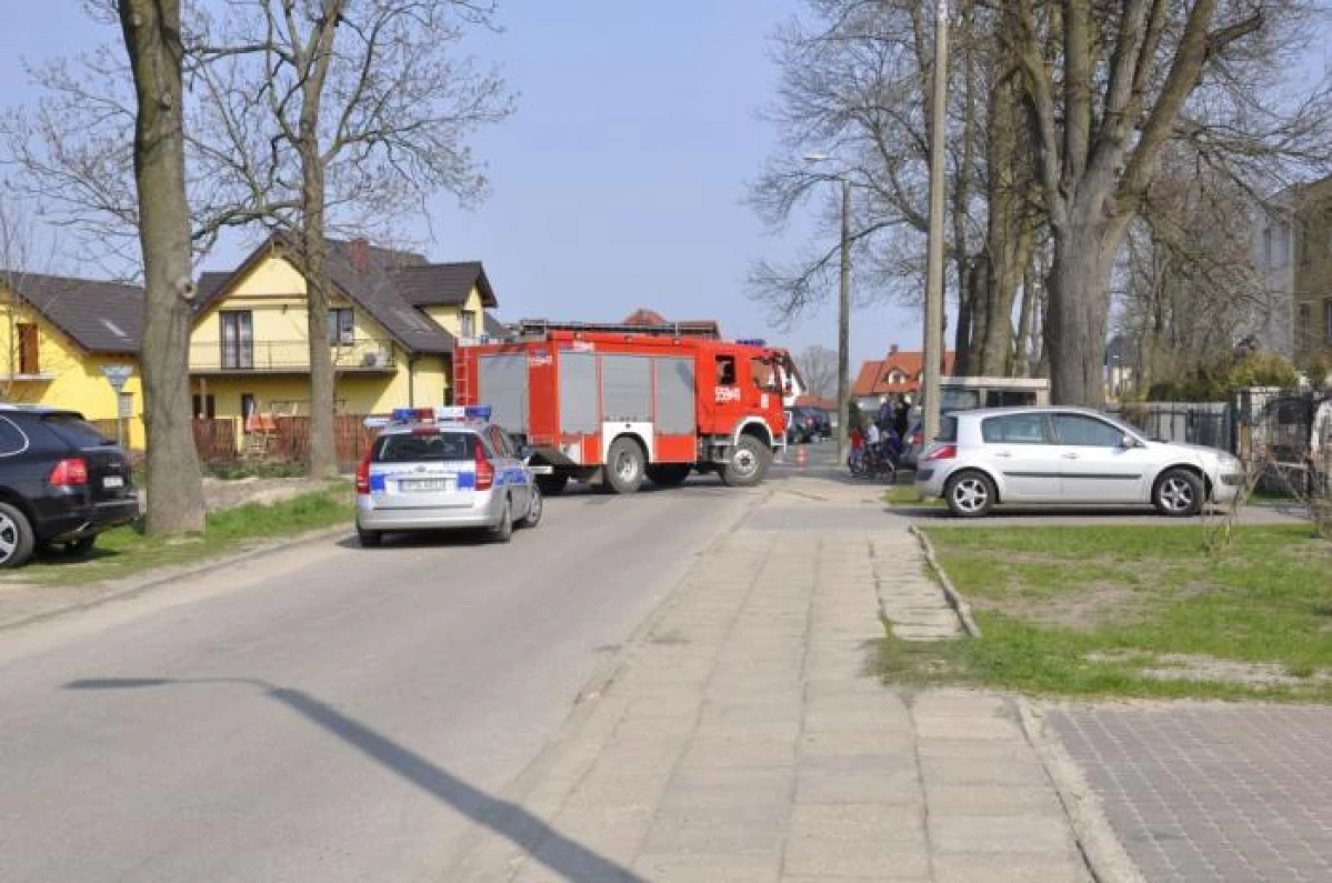Zdjęcie