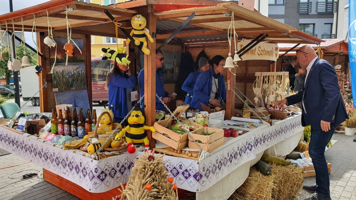 Zdjęcie
